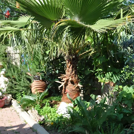 Quarto em Acomodações Particulares Shambala Adrasan