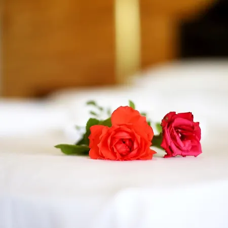 Shambala 아드라산