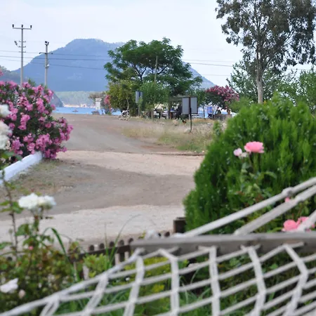 Shambala 아드라산