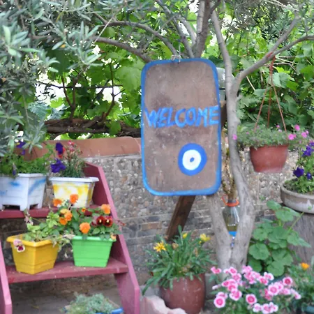 Shambala 홈스테이 *