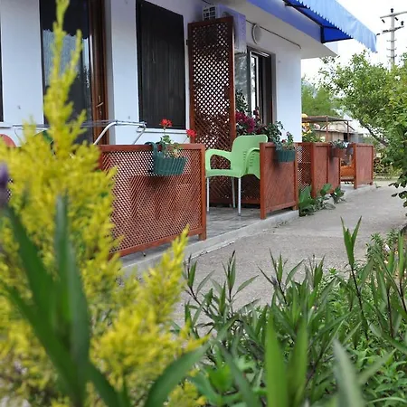 Shambala 아드라산