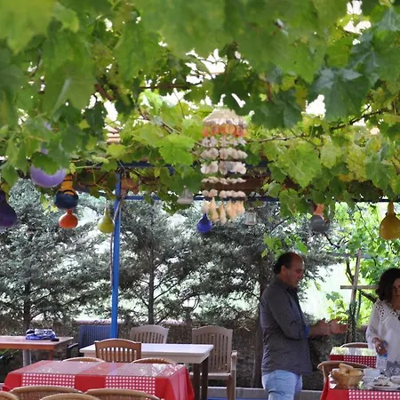 Shambala Kwatera prywatna *