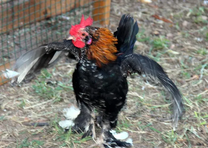 Ubytování v soukromí Shambala