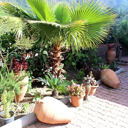Shambala Homestay *